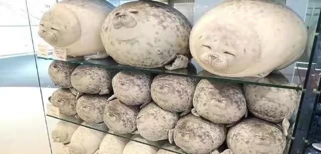 物资|物资宝箱刷新位置,全图共五处,物资堪比空投!