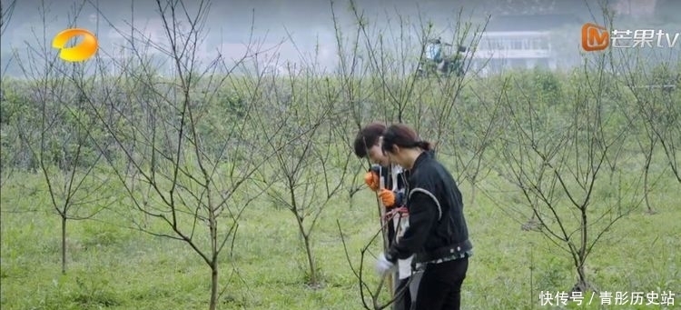 “向往的生活”预告杨紫一语道破最大难题,扯下了节目的遮羞布