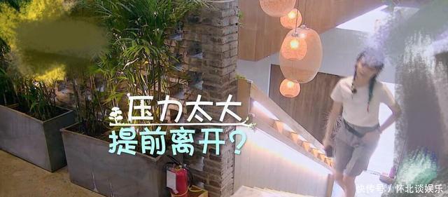 工作人员|郑爽上节目化身透明人,不和嘉宾吃饭自己开小灶,压力太大哭一路