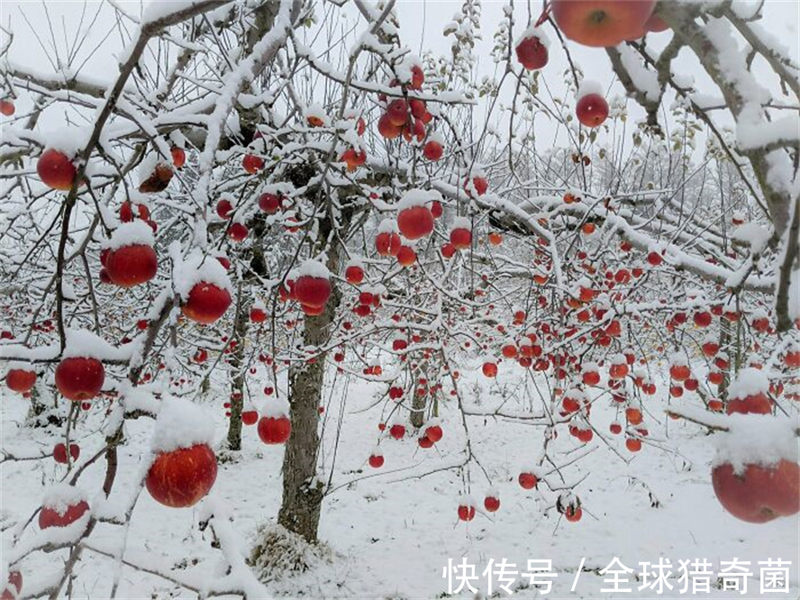 摄影|35张“活久见”的完美图片,强迫症瞬间被治愈了