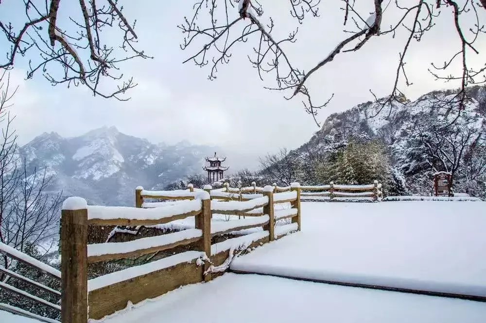 昆嵛山|一场冬雪后，昆嵛山竟变成这样……