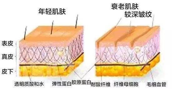 分子|济南海峡整形分享：注射玻尿酸和水光里的玻尿酸有什么区别？