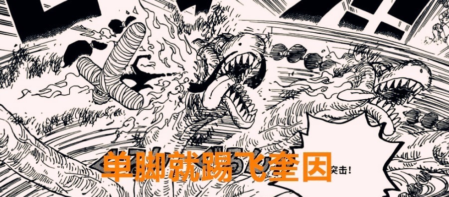 伊万科夫|海贼王1020话:网友都说索隆要比山治强,但却忽略了一个逻辑问题