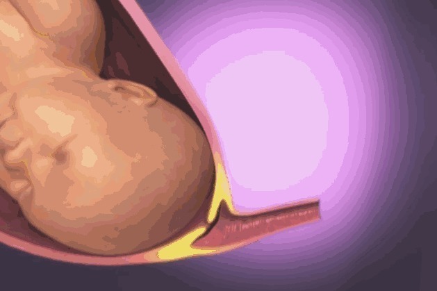 胎盘|顺产到底有多疼3张图让你一目了然,妈妈太不容易,请善待她们