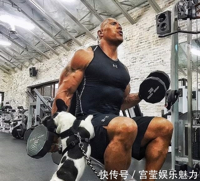 健身|巨石强森解释为何他只有5块半腹肌？