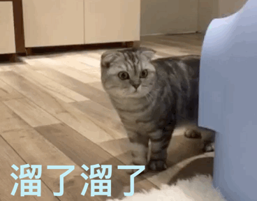 如果可以，不要做“别人家的孩子”