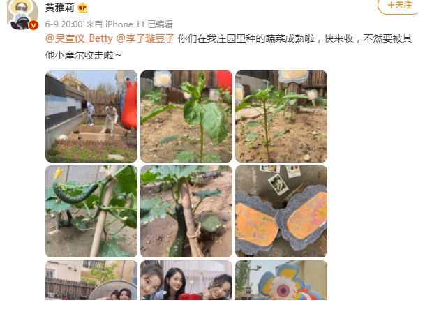 南風(fēng)|娛樂圈在逃手工達(dá)人黃雅莉，寶藏女孩實(shí)錘了