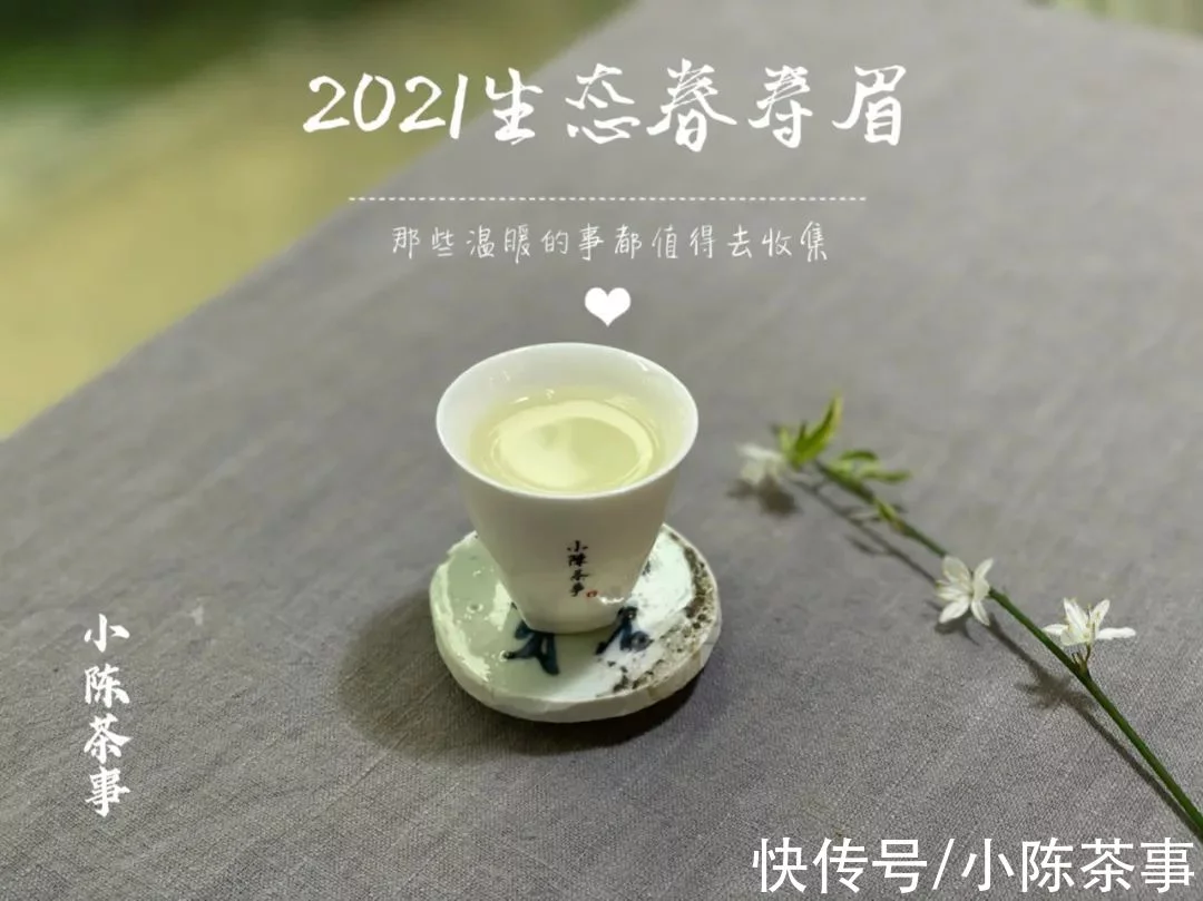 这才是我们小陈茶事的“双11”，是的，我们的，当然也是茶友们的