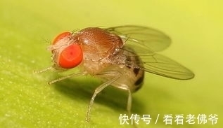裸睡|31个冷知识:学校里不会教,但却可以使人博学的奇怪知识