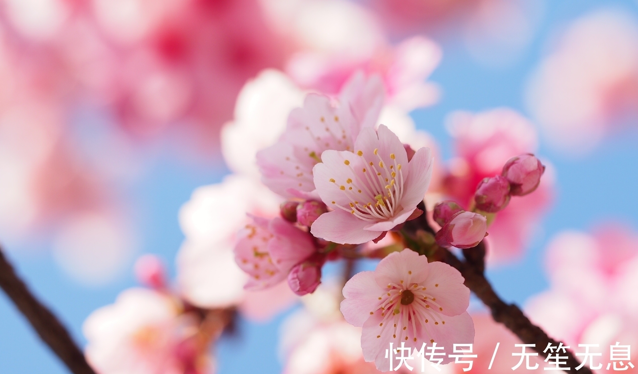 大运|2022年元旦开始喜获大运支持,事业上会不断的迎来惊喜的3大生肖