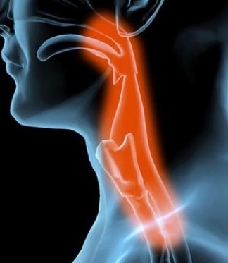 养生|多走路、多喝水,以为是在“养生”,实际上是在折寿!