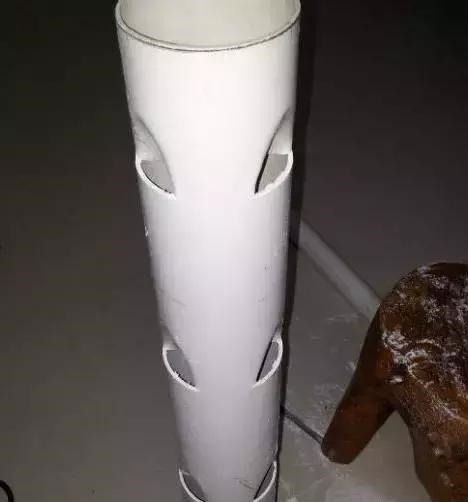 草莓这么贵就别买了，自己种一盆，1招让草莓又大又甜！