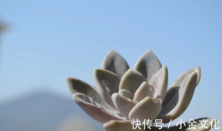 以阳光为滤镜,蓝天为背景,期待拥抱春天,拥抱自然!