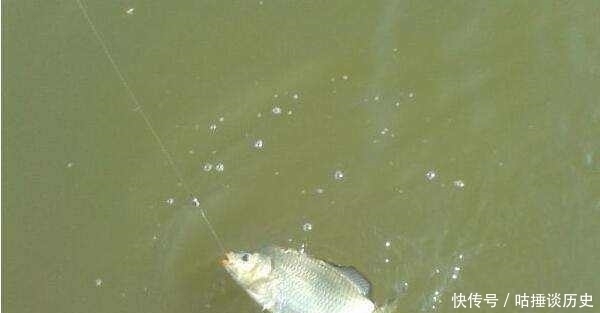 钓友|野钓鲫鱼时,一旦遇到这3种情况,老钓友第一反应:马上调整