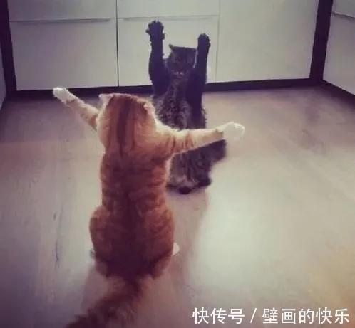 |搞笑GIF:一张膜十元钱,我都帮你免费贴了,你还想哪样?