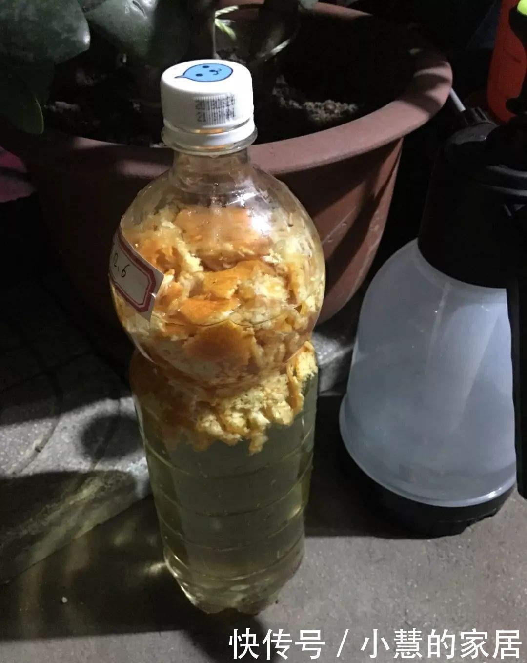 家里有这3种东西不要扔，你以为是垃圾，可它们是植物最好的肥料