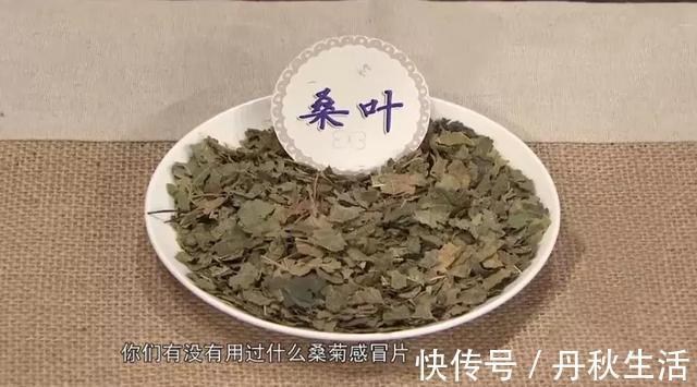 益寿延年|它被誉为“神仙叶”，每天一把泡水喝，三高慢慢降下来，益寿延年