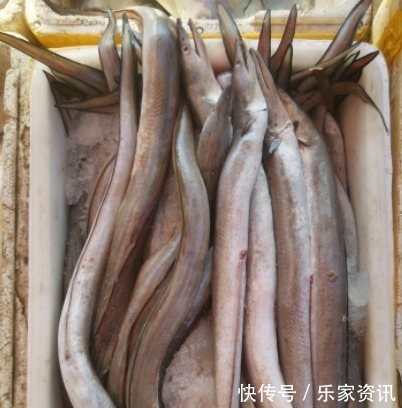 4种“名声大噪”,味道却很差的鱼,大部分人吃的只是“面子”!