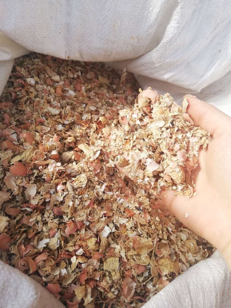 谁家都有的“5种”壳,给花盆里加一点,嗖嗖长爆盆,都是好肥料