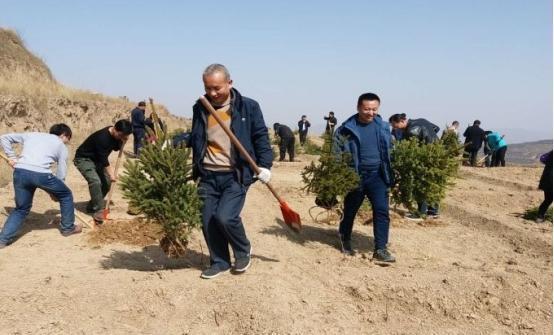 到底|美专家:中国人太天真,花费大量资金与力气去治沙,到底值不值?