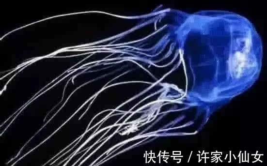 西瓜|吉尼斯世界之最:女子左手拿鞭30s破纪录,魔鬼老师?