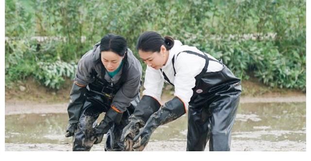 奧特曼|《向往的生活》來客人，本以為會是勞動力，沒想到是兩個吃貨