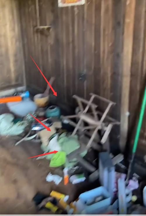 打扫|失去了节目滤镜,蘑菇屋变成另一种状态,满地落叶屋里堆满杂物