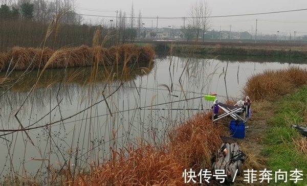 西南风|冬季钓鱼，看准风向选时机，北风和南风，哪种风向鱼最好钓？