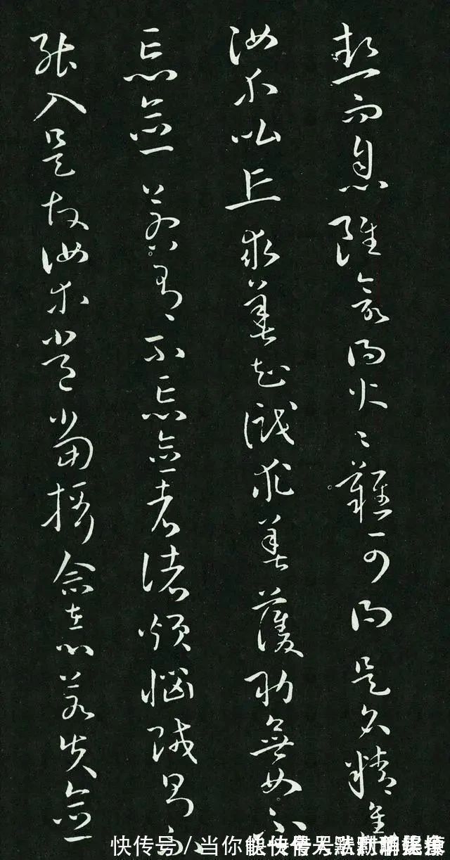 孙承泽！唐朝一幅罕见草书问世，这字超过了张旭与怀素，让人眼界大开！