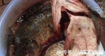 腊鱼|腌腊鱼时，掌握“4要点”，腊鱼鲜香入味，久放不坏，越放越香！