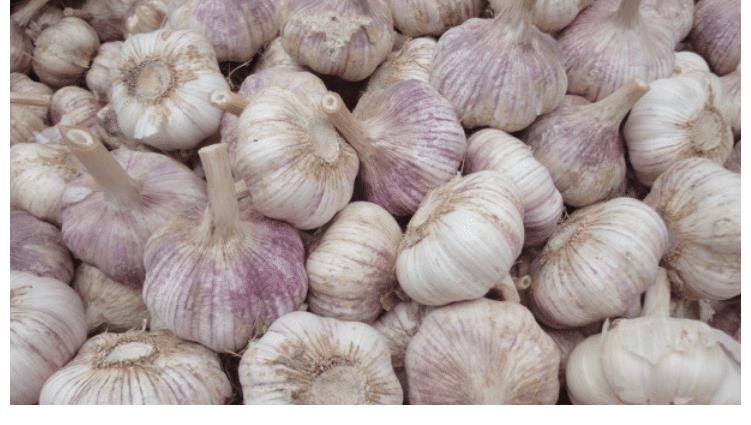 大蒜|这样保存大蒜，放半年都不会干瘪发芽，菜贩子都用这招，不懂太亏