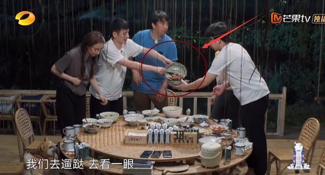 黄磊|张子枫公开处理剩菜，看完3个步骤懵了，原来都欠黄磊一句对不起