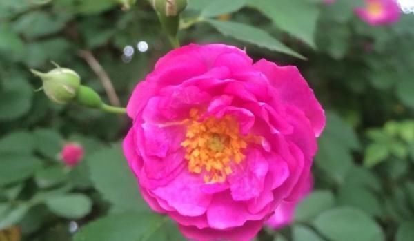 百搭|马尾这样扎百搭又实用,发量多少都能扎,适合所有年龄的女人