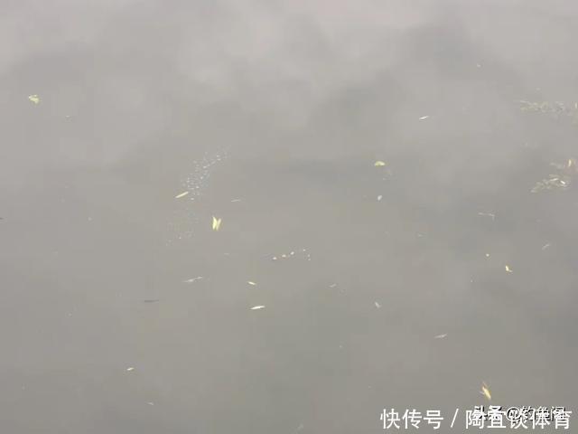 大鱼|垂钓最爽的5个时刻,正常人难以理解,钓鱼人直呼过瘾