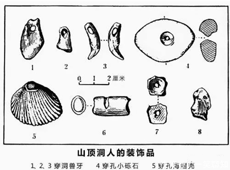  费尔斯|百度谷歌搜不到的知识：中国最早的美术作品是什么？不是彩陶哦