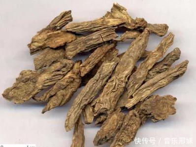 补肾最好的十大中药，除了淫羊藿、肉苁蓉，还有这些