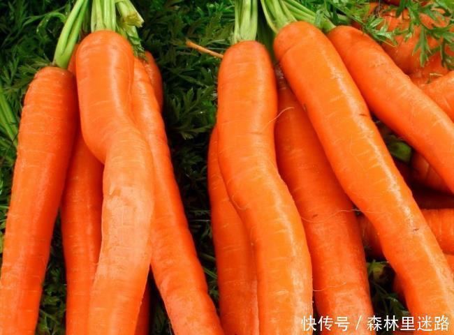 身体|世界上最有营养的4大蔬菜,爱吃一种就赚了,身体更健康