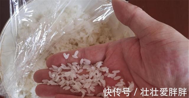 白露|入冬之前野钓大鲫鱼,我从来不用蚯蚓和红虫,这些素饵才是首选!
