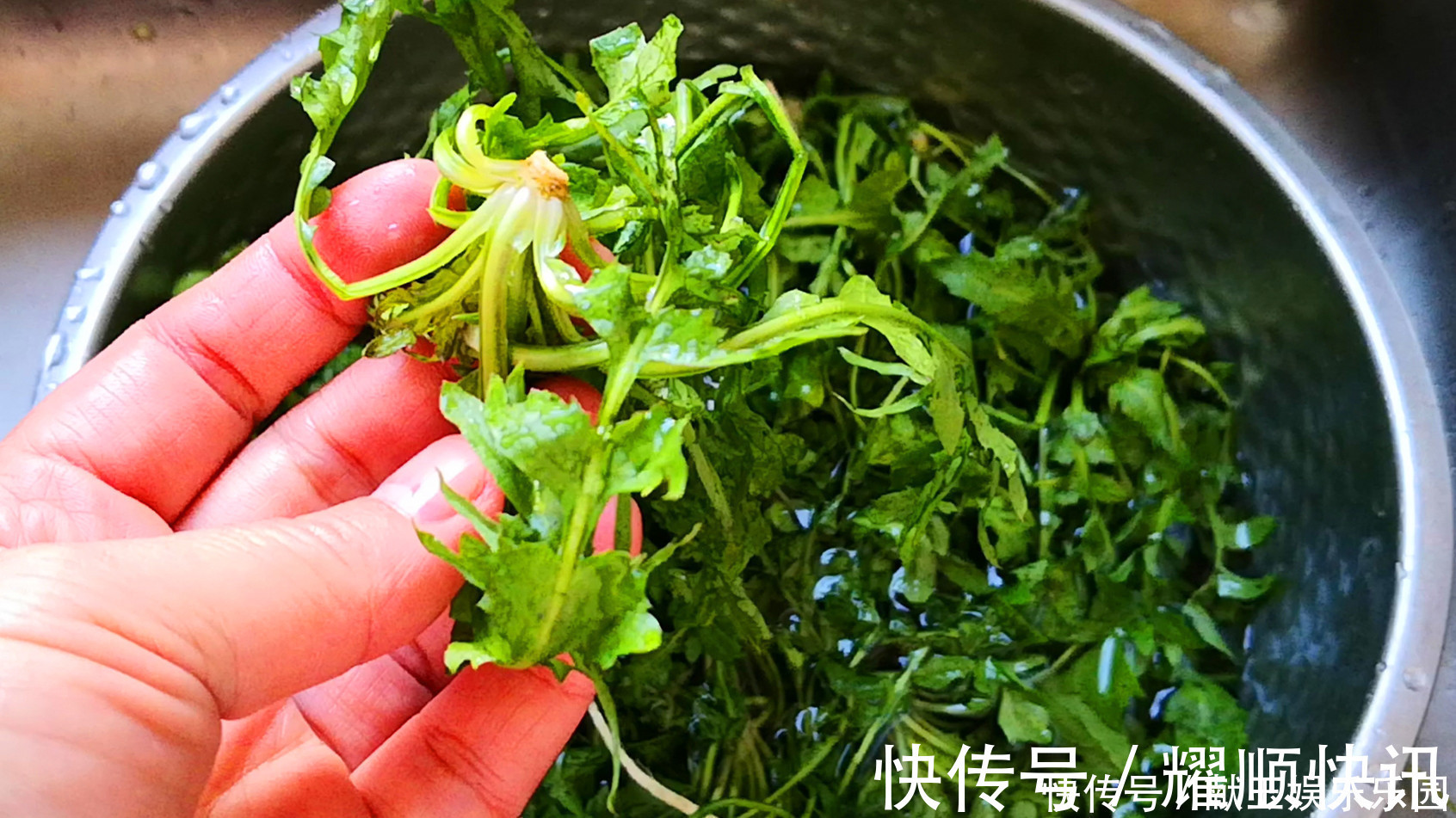 钱包|天冷吃饺子，就馋此馅，比韭菜和白菜都鲜，3块钱包一锅，太香了