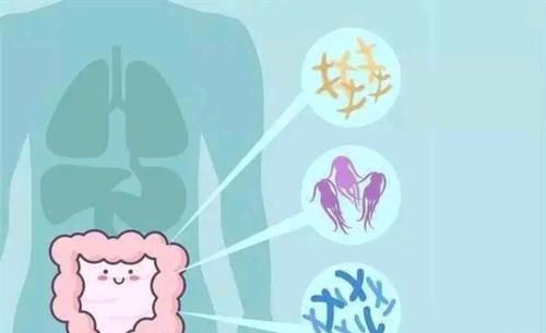 肠道健康，影响着你的免疫力、寿命，别忽视了肠道发出来的信号