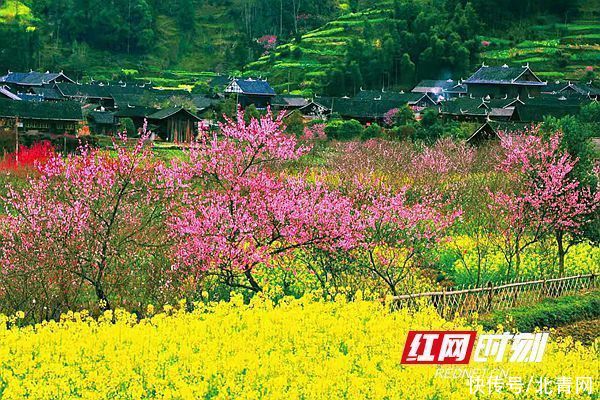 中年|发展乡村旅游助力精准脱贫 新化县文旅广体局这样做