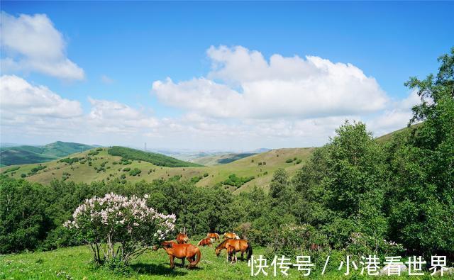 京北|中国避暑的首选目的地，自驾爱好者的天堂，一路风景如画