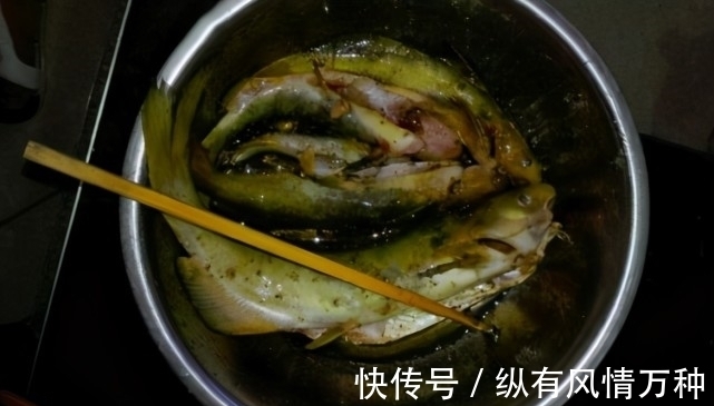 渔获|广西一男子钓获“奇怪”黄辣丁,有人说是“牛尾巴”,这鱼好吃吗