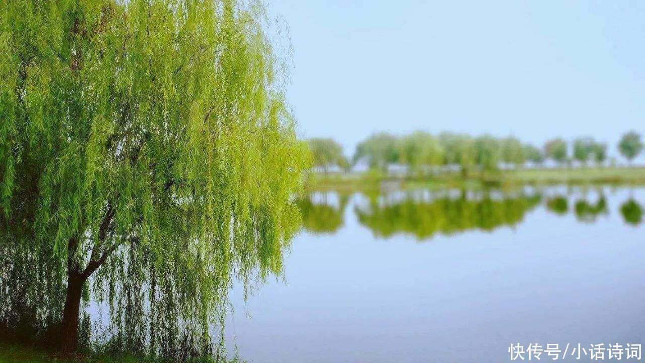 柳树$咏柳诗词何其多,而王观的这首咏柳词却能脱颖而出,它好在哪里?