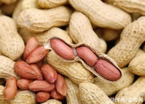 大脑“喜欢”的食物有哪些？深海鱼有助于增强记忆力