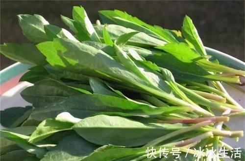 清热解毒|人要长寿,多吃3种食物,养肝护肝,美容养颜,早吃早好