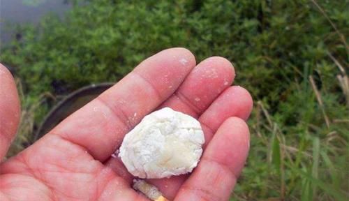 野钓|钓鱼技巧:多种面粉饵料配方,小鱼不沾,大鱼咬钩猛,野钓必备