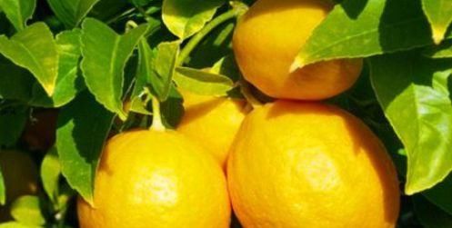 女性想身体好，推荐3种食物，排毒抗衰，降压降脂，清理血管垃圾