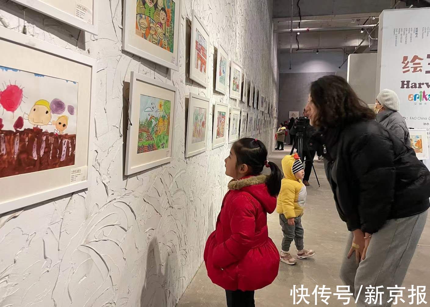 青岛红树林&走过9个国家 迎新年“绘丰收 画节约”儿童画国际巡展落地青岛