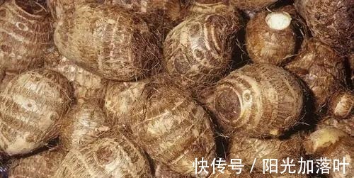 常吃|三伏天,有钱没钱,都要常吃这6种碱性食物,让家人顺利度过夏天!